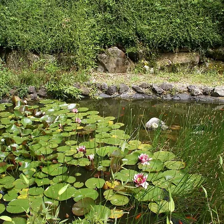 Chalet L Eau Douce Beaulieu (Haute-Loire)